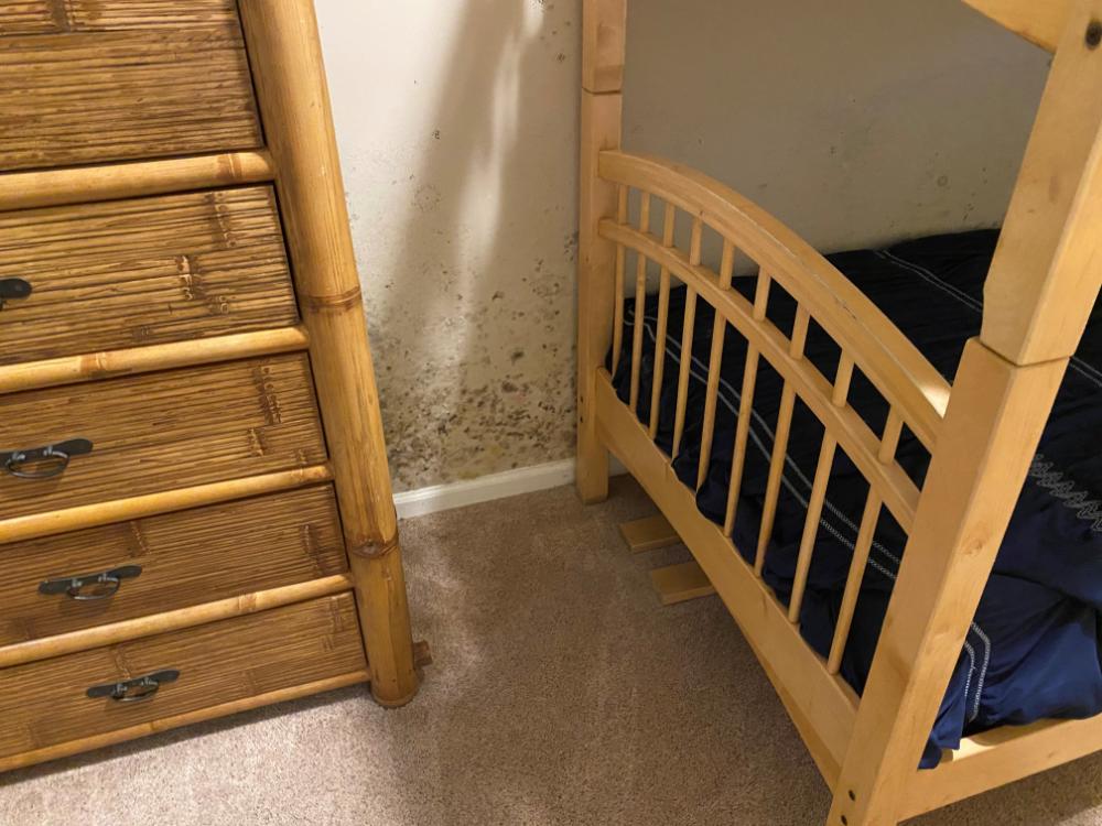 mold in children's room