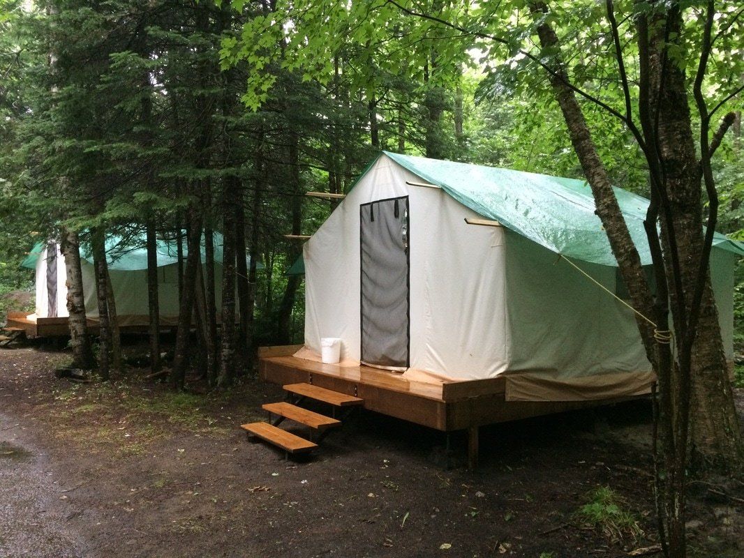 A white tent with a green tarp is sitting in the middle of a forest.