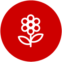 Icona fiore
