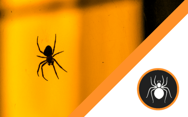 A spider is sitting on a yellow surface next to a glass of beer