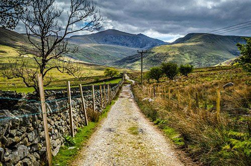 Countryside scene