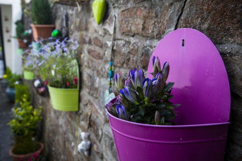 The Moda House  B&B Garden in Chipping Sodbury, Bristol