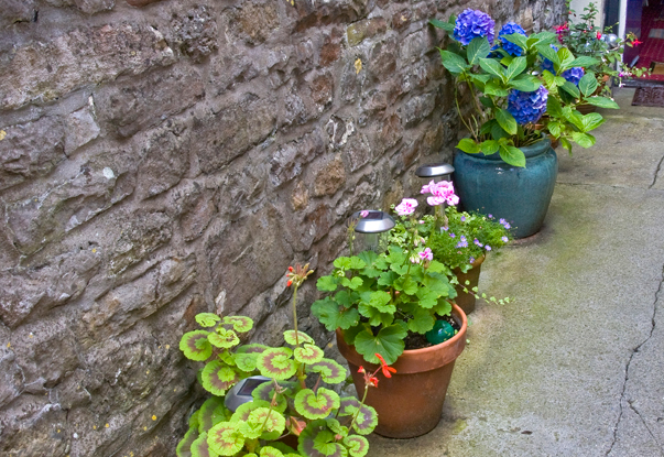 The Moda House  B&B Garden in Chipping Sodbury, Bristol