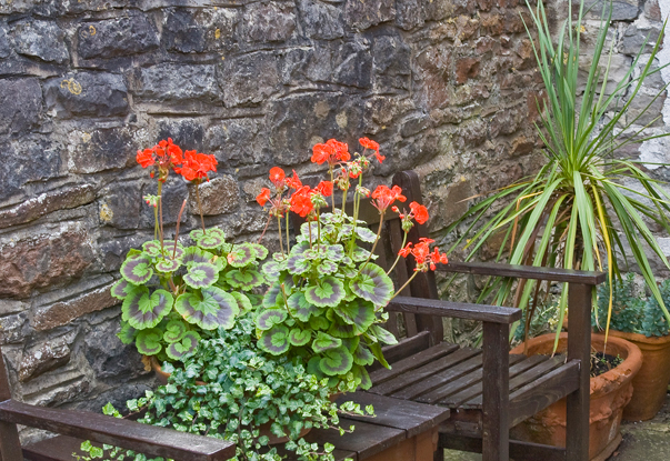 The Moda House  B&B Garden in Chipping Sodbury, Bristol