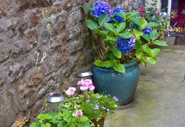 The Moda House  B&B Garden in Chipping Sodbury, Bristol