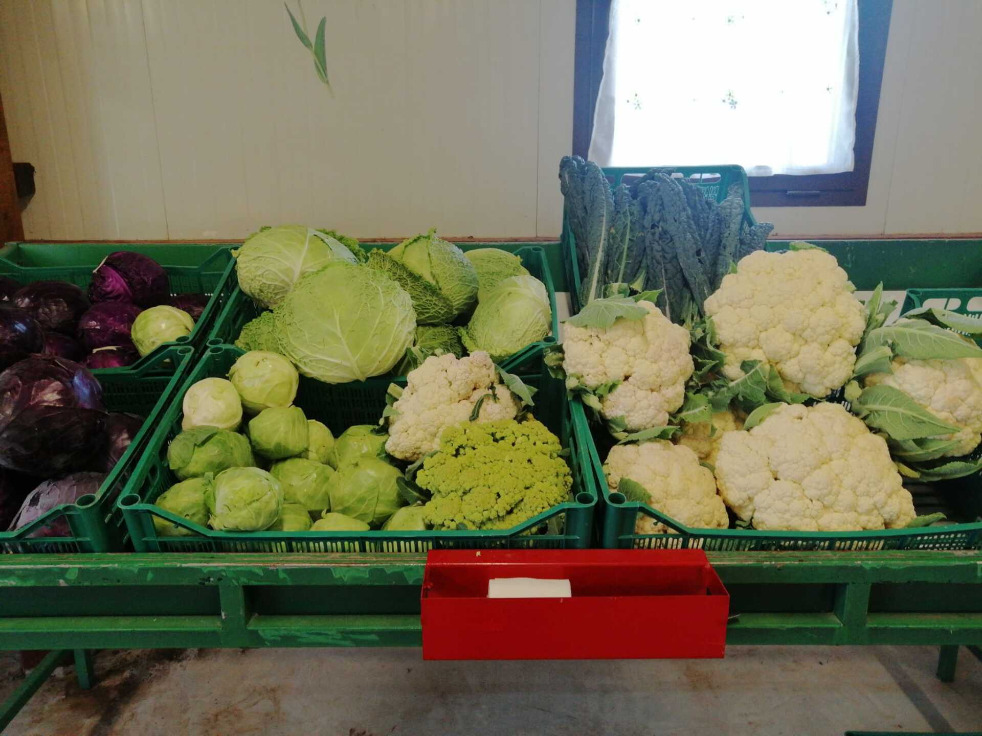 verdure verdi e bianche