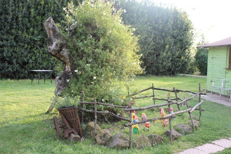 albero in giardino dell'agriturismo