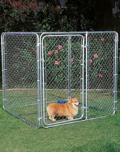 A Dog inside Chain Link Fence — Ste. K Santee, CA — Sam's Fencing Inc.