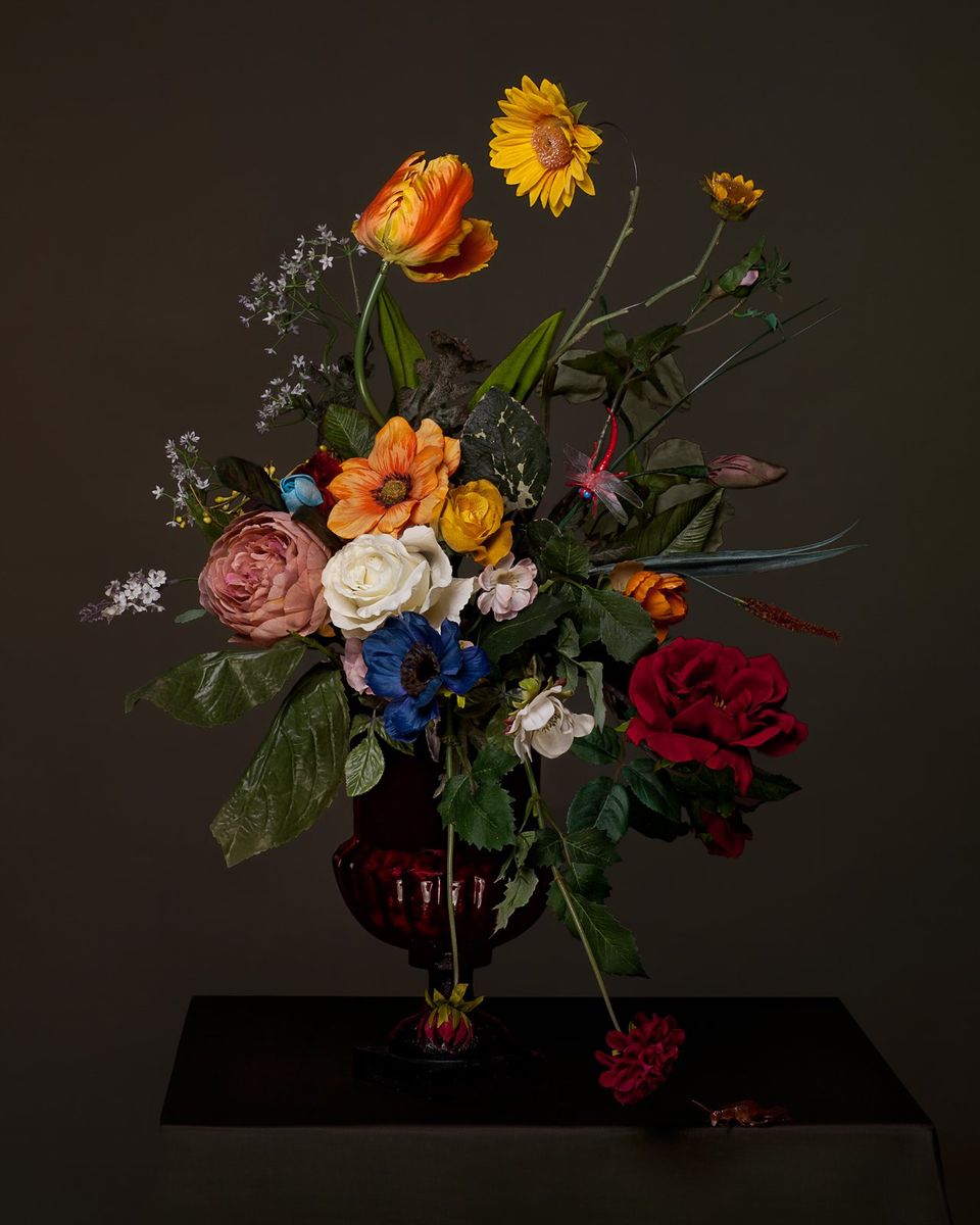 © Barok, Jacqueline Louter, 2020 © Barok, Jacqueline Louter, 2020