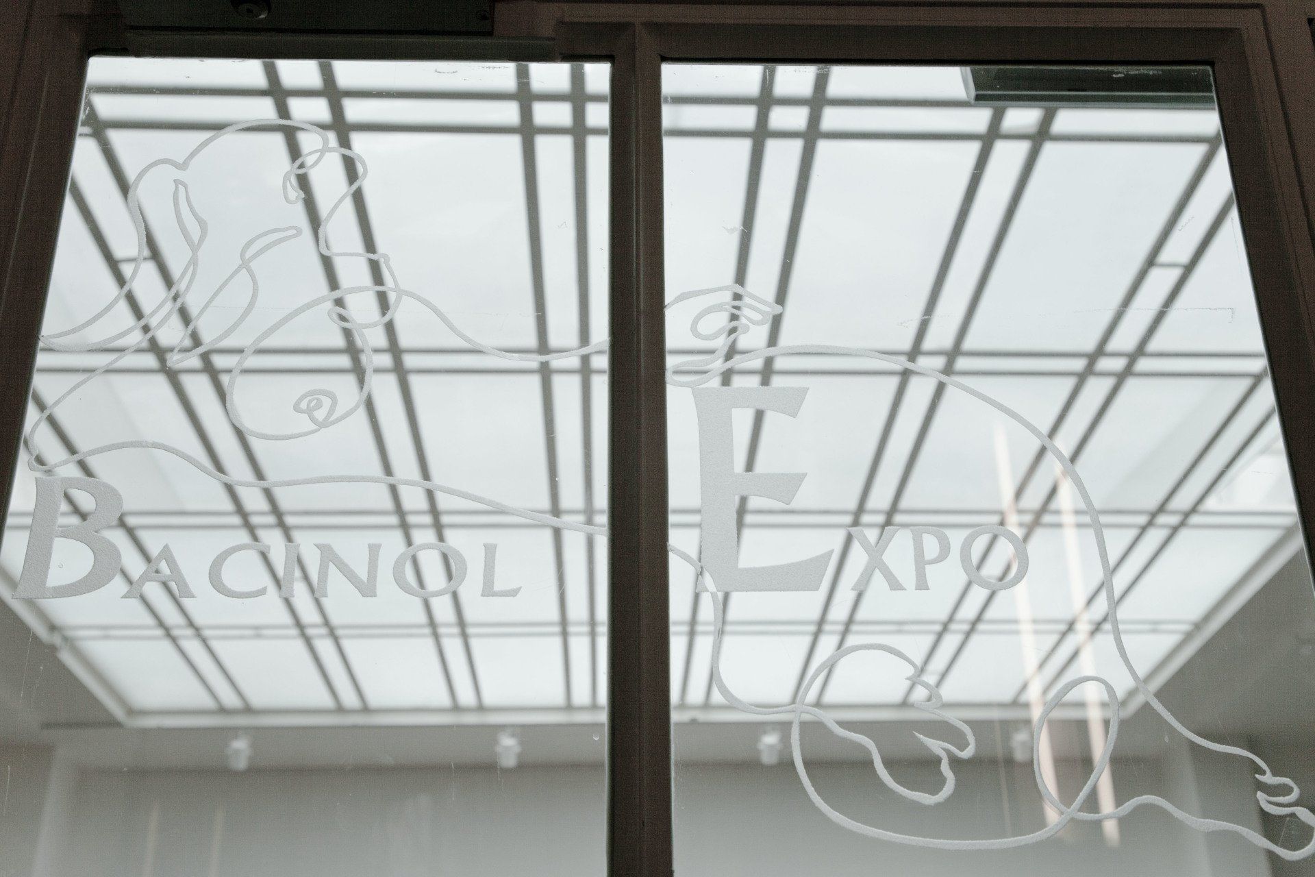© Jacqueline Louter-Hoos - Salon Huszar - solo expositie