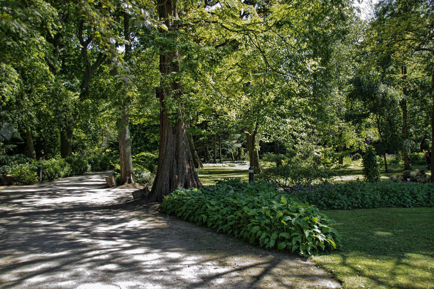 © Jacqueline Louter | Botanical Garden Delft TU