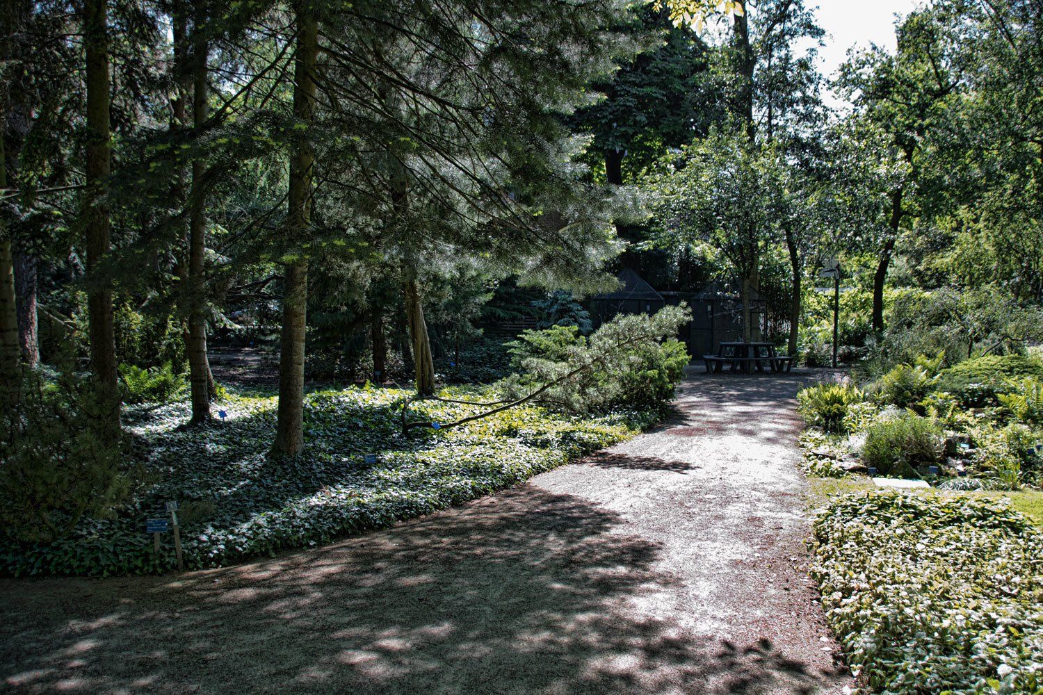 © Jacqueline Louter | Botanical Garden Delft TU