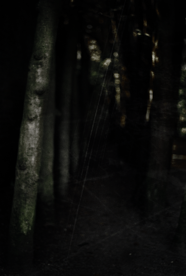 ©JacquelineLouter art portfolio jaxpix