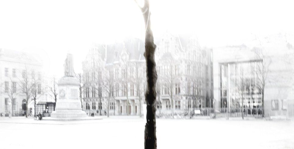 © Jacqueline Louter Split Lite