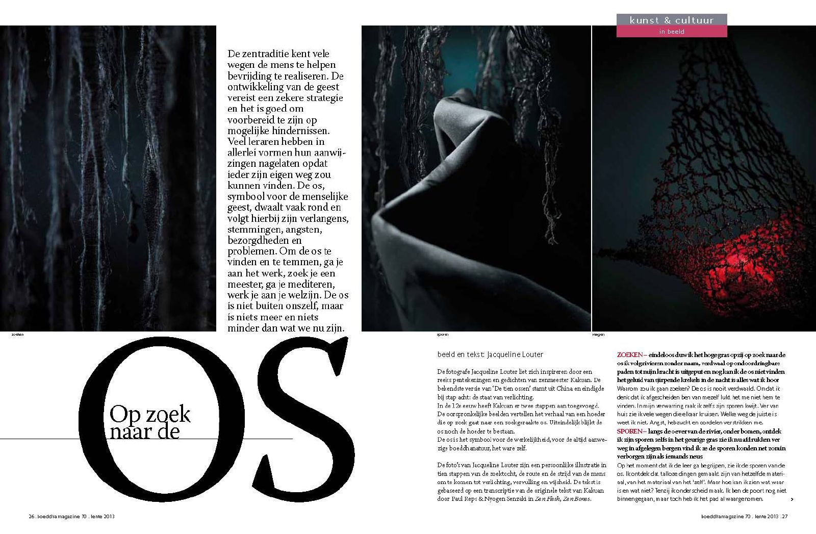© Jacqueline Louter Ten Bulls | Op zoek naar de Os