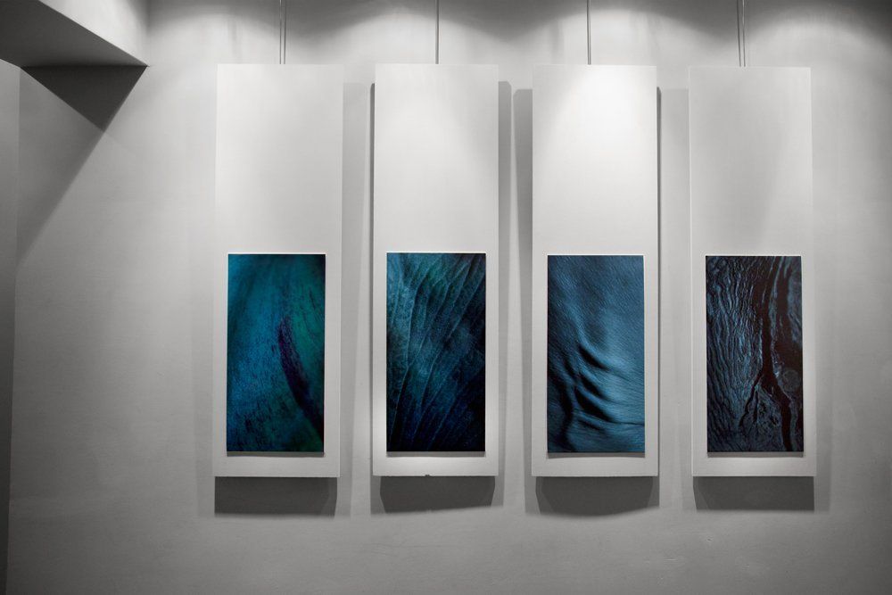 © Jacqueline Louter
