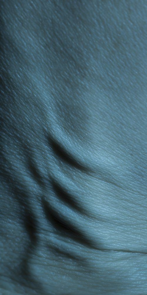 © Jacqueline Louter