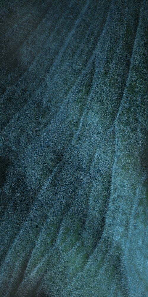 © Jacqueline Louter