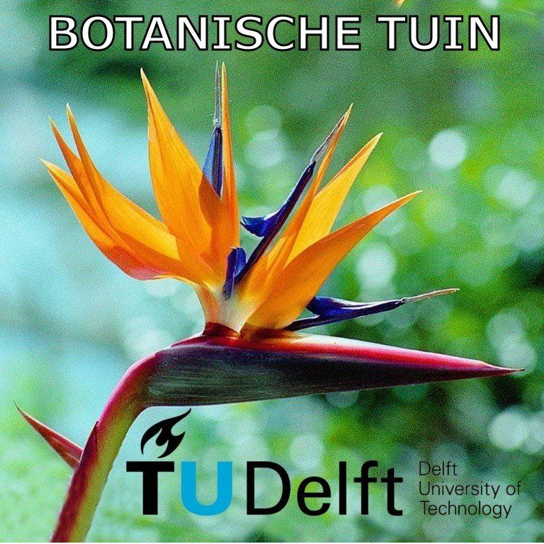 Botanische Tuin TU Delft