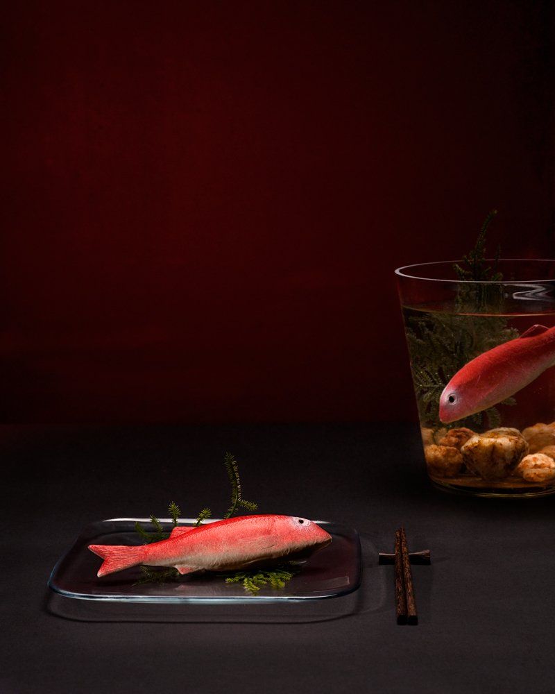 © Jacqueline Louter - Pet or Dinner