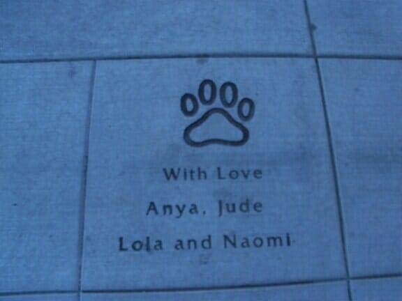Floor Engraving - Paver Engraving in Tucson, AZ
