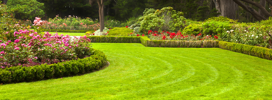 For soft landscaping in Caterham call A.S. Landscapes For soft landscaping in Caterham call A.S. Landscapes
