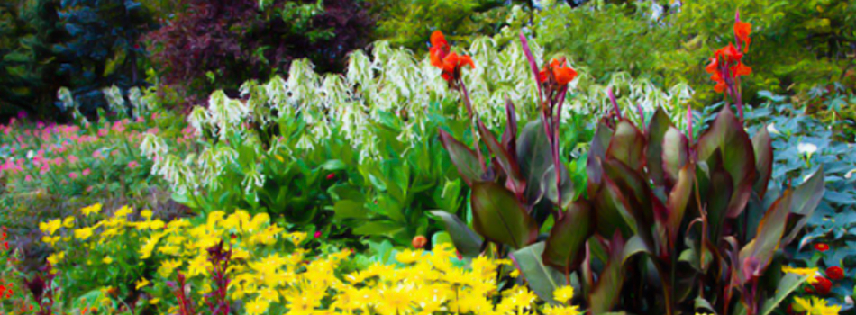 For planting in Caterham call A.S. Landscapes For planting in Caterham call A.S. Landscapes