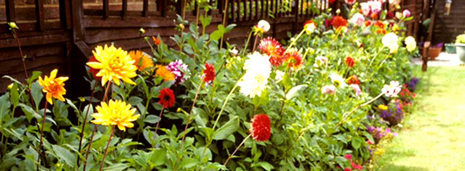 For soft landscaping services in Caterham call A.S. Landscapes For soft landscaping services in Caterham call A.S. Landscapes