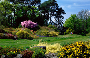 For garden maintenance in Caterham call A.S. Landscapes For garden maintenance in Caterham call A.S. Landscapes