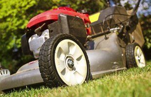For garden maintenance in Caterham call A.S. Landscapes For garden maintenance in Caterham call A.S. Landscapes