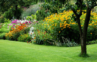 For landscaping services in Caterham call A.S. Landscapes For landscaping services in Caterham call A.S. Landscapes