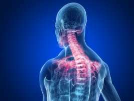Histopathology — Sunnyside, WA — Yakima Valley Chiropractic Center