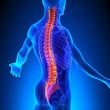 Neuropathophysiology — Sunnyside, WA — Yakima Valley Chiropractic Center Neuropathophysiology — Sunnyside, WA — Yakima Valley Chiropractic Center