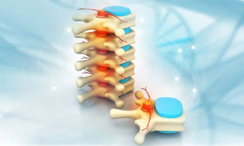Spine Alignment — Sunnyside, WA — Yakima Valley Chiropractic Center Spine Alignment — Sunnyside, WA — Yakima Valley Chiropractic Center