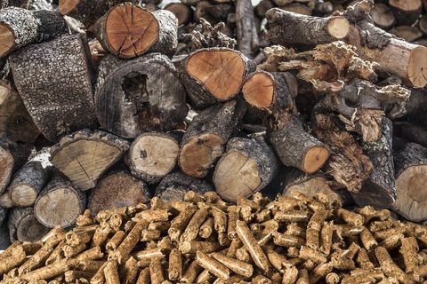 firewood