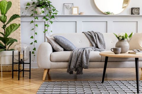 Sofa And Carpet — Lancaster, OH — Ewing Steam Cleaning Inc. Sofa And Carpet — Lancaster, OH — Ewing Steam Cleaning Inc.