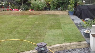Home garden - Yeovil - amc services - Garden maintenance Landscaping