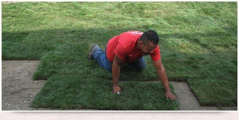 grass installation