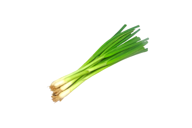 Spring Onions A bunch of green onions on a white background