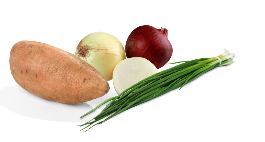 Product Range A sweet potato , onions , and green onions on a white surface.