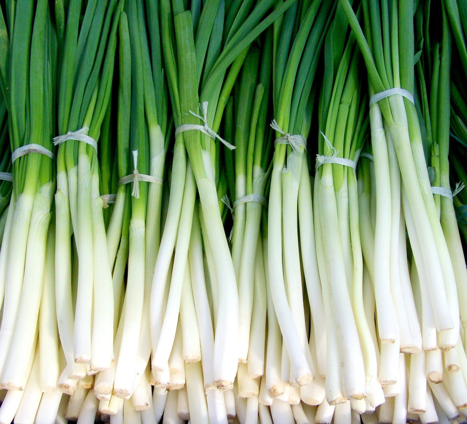 A bunch of green onions tied together with string