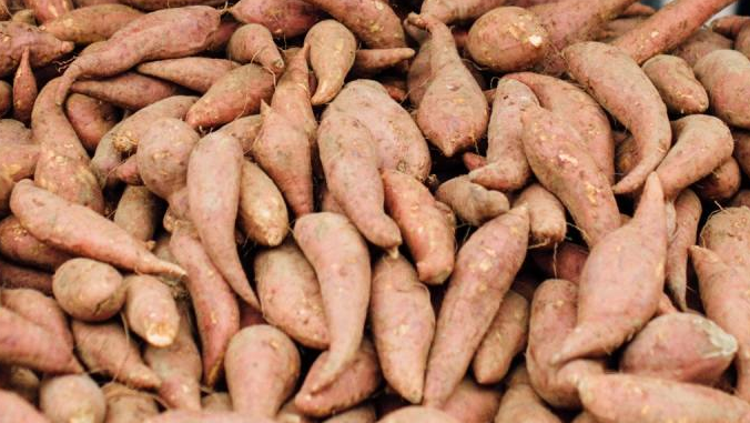 A pile of sweet potatoes sitting on top of each other.