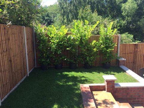 Fencing
