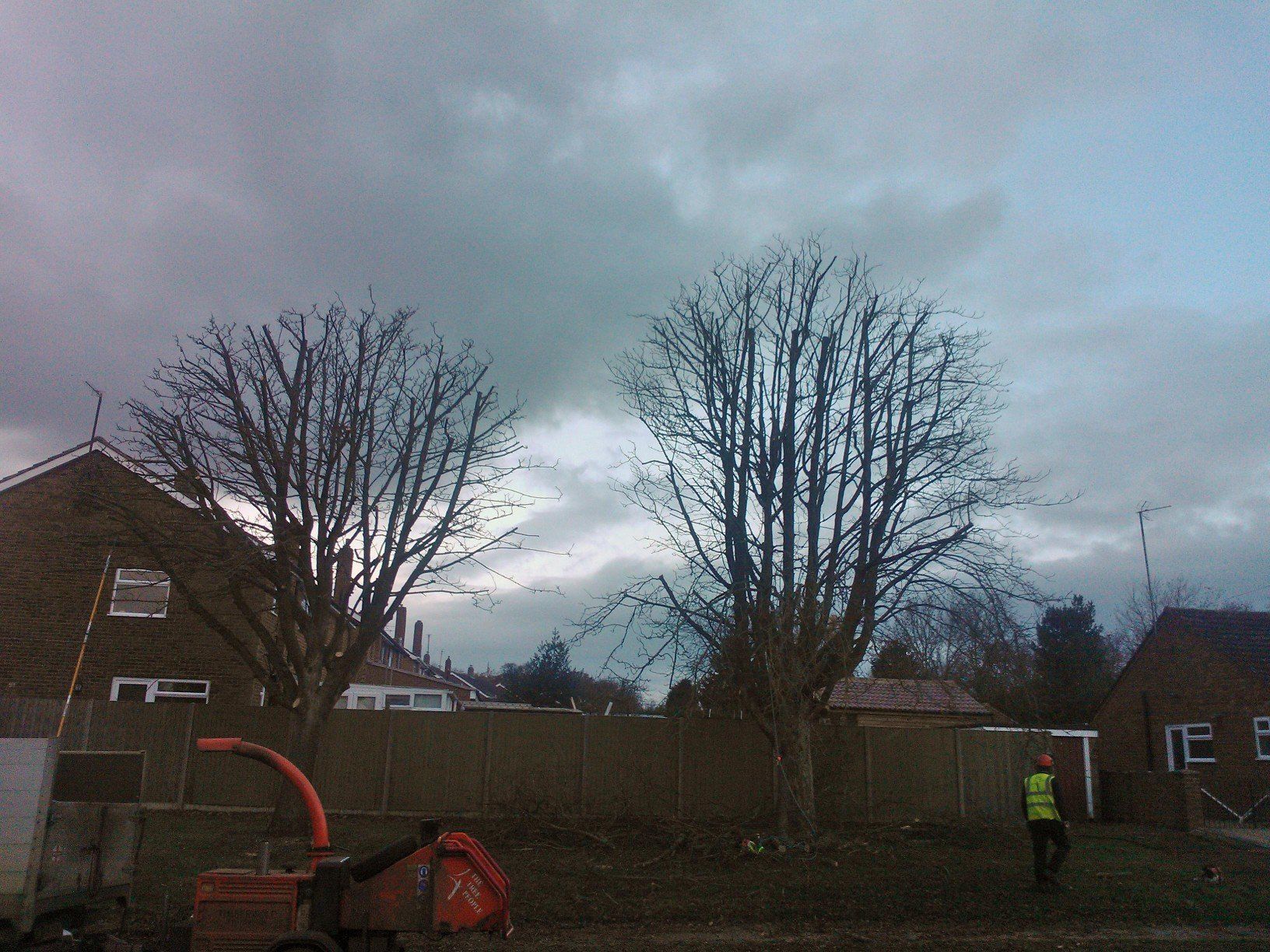 tree pruning