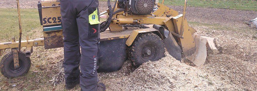 Stump Grinding