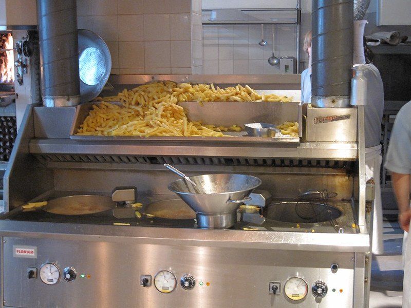 Asegurate de secar los alimentos antes de usar la Freidora industrial