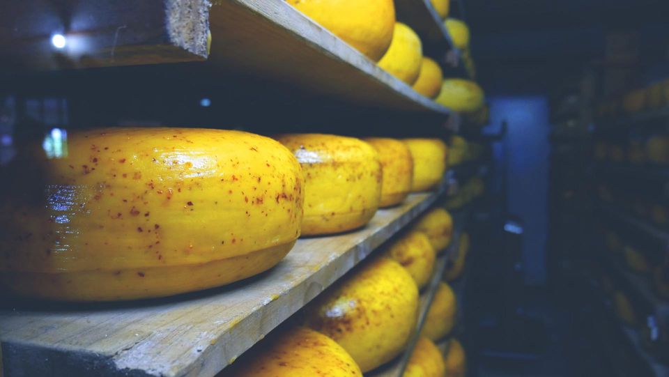 La industria de alimentos