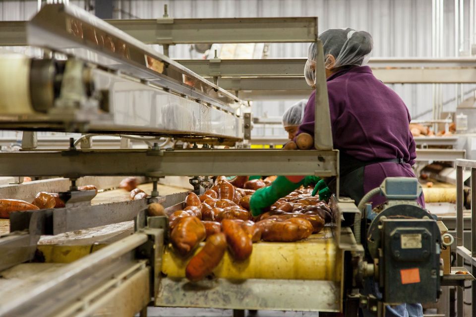 industria alimentaria