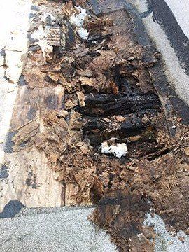 Rotten Trusses turned to mush, building in need of shoring