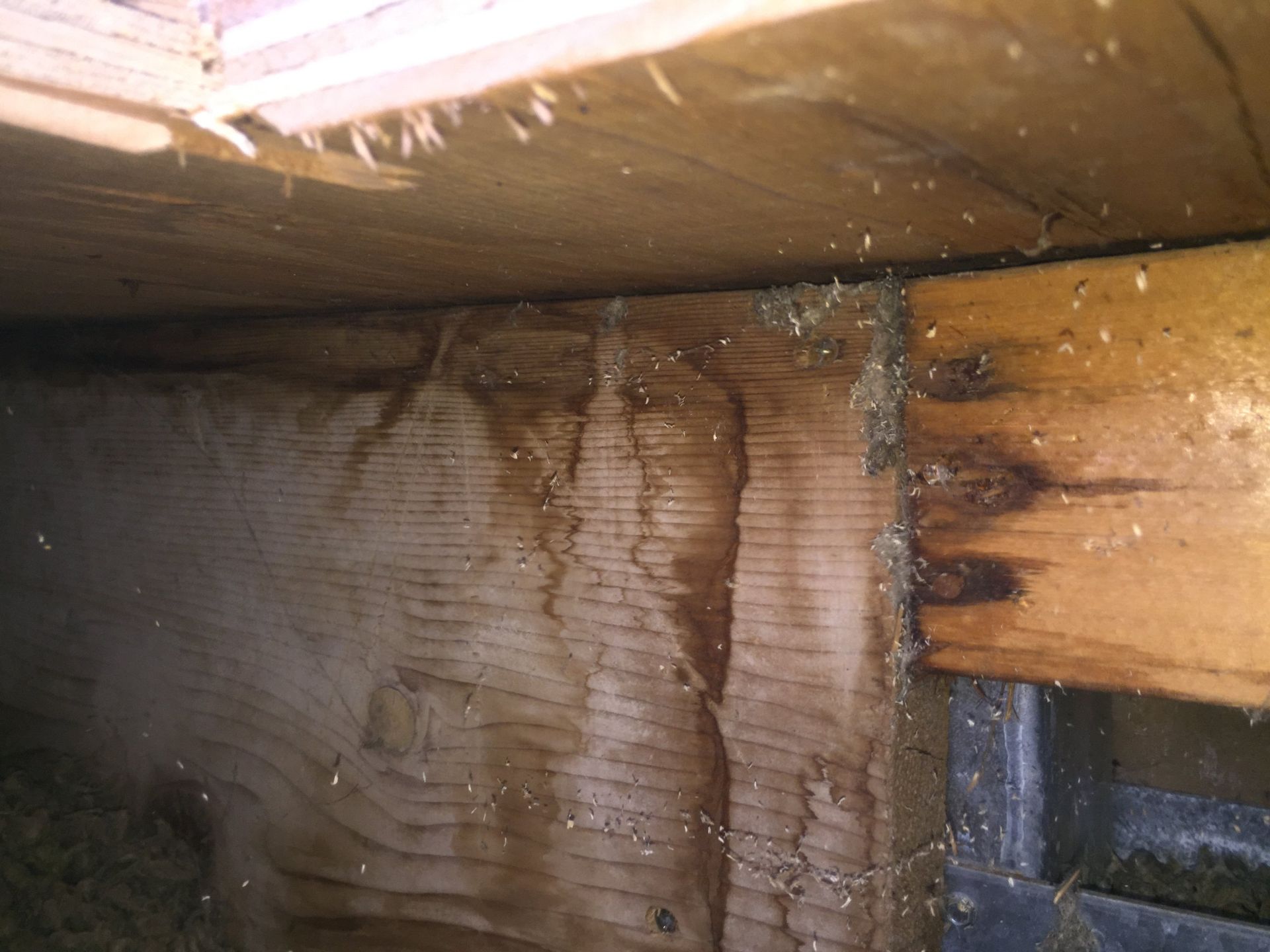 Wet roof truss